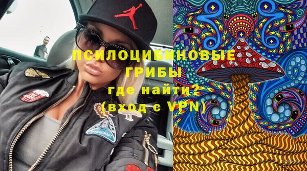 скорость Нязепетровск