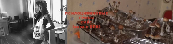 мяу мяу кристалл Осинники