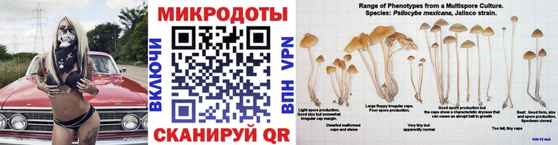 Псилоцибиновые грибы GOLDEN TEACHER  сколько стоит  нарко площадка Telegram  Кудымкар 