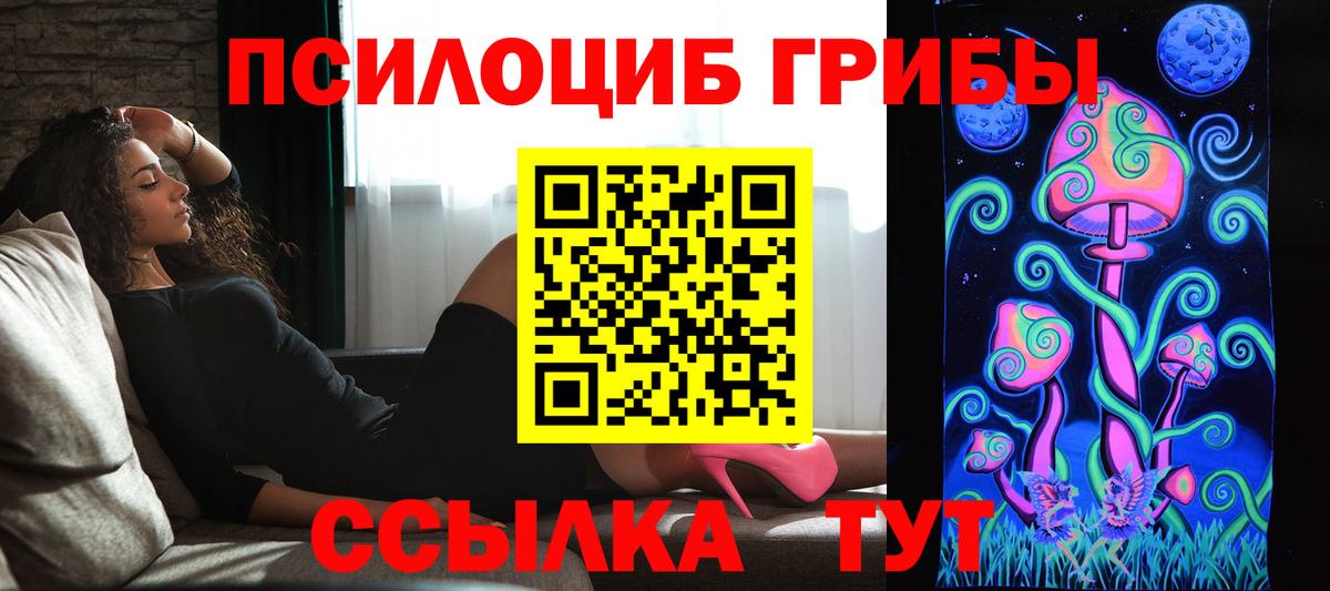 Галлюциногенные грибы прущие грибы  Кудымкар  Галлюциногенные грибы Psilocybe 