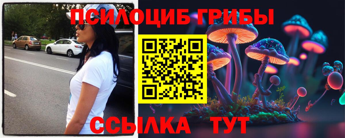 Псилоцибиновые грибы MAGIC MUSHROOMS Кудымкар