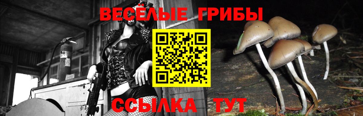 Кудымкар  купить  сайты  Вход с VPN  Псилоцибиновые грибы мицелий  Галлюциногенные грибы прущие грибы 